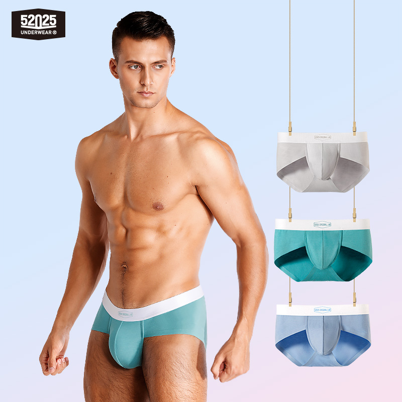 52025 Modal slips voor heren ( - Multi Pack Underwear recensie en prijs
