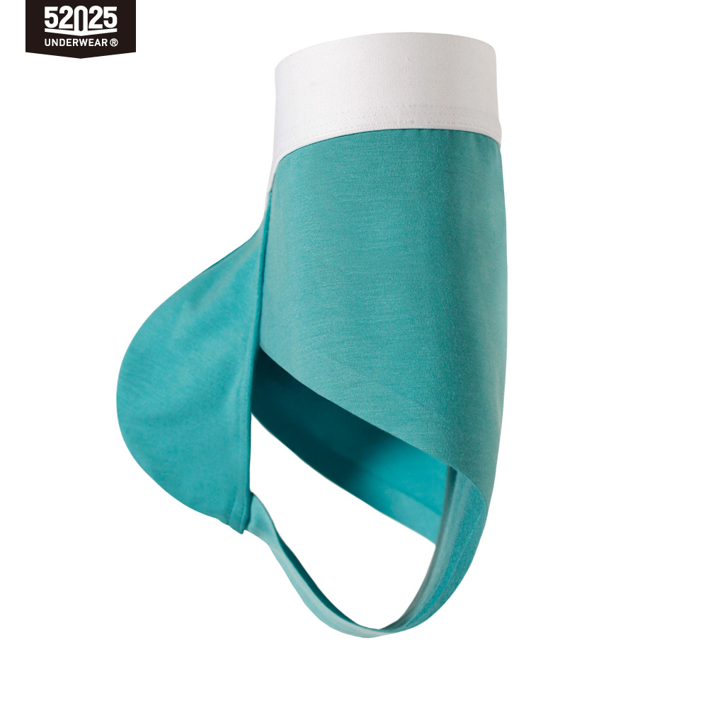 52025 Modal slips voor heren ( - Multi Pack Underwear recensie en prijs